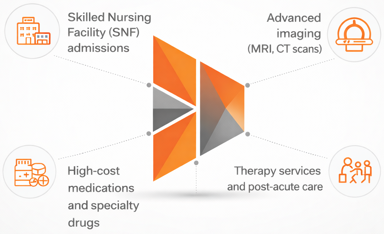 Services frequently subject to prior authorization include